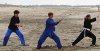 tai chi chuan